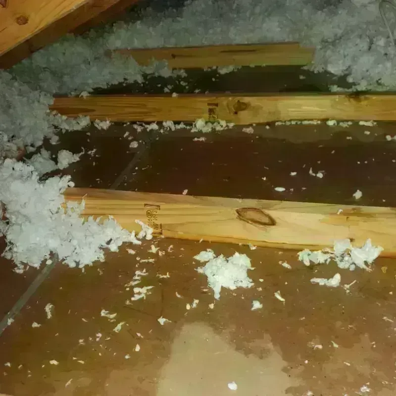 Attic Water Damage in Warrenton, GA